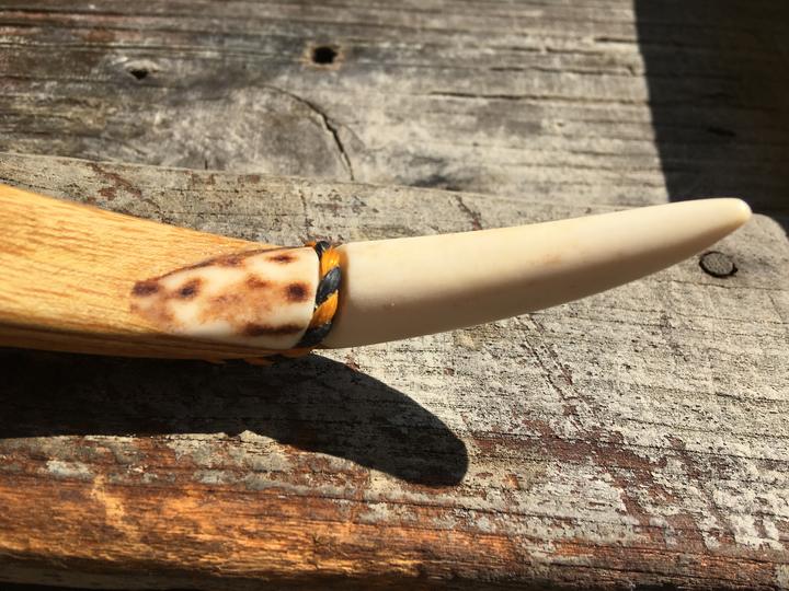 Bogenspitze mit heller Horn-Nocke auf einem Holzbrett