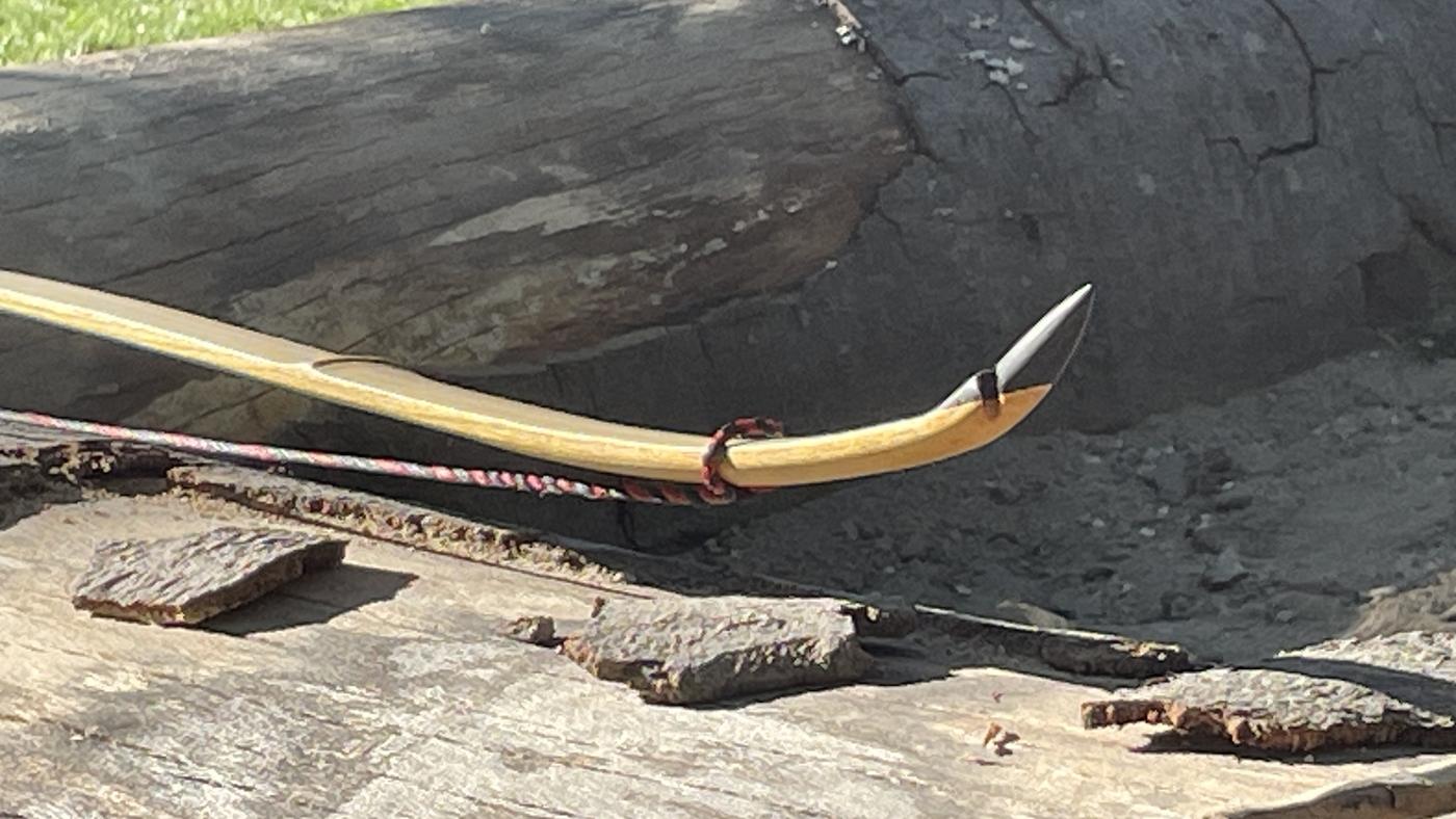 Wurfarm eines Wings Bogens aus Osage mit Recurve