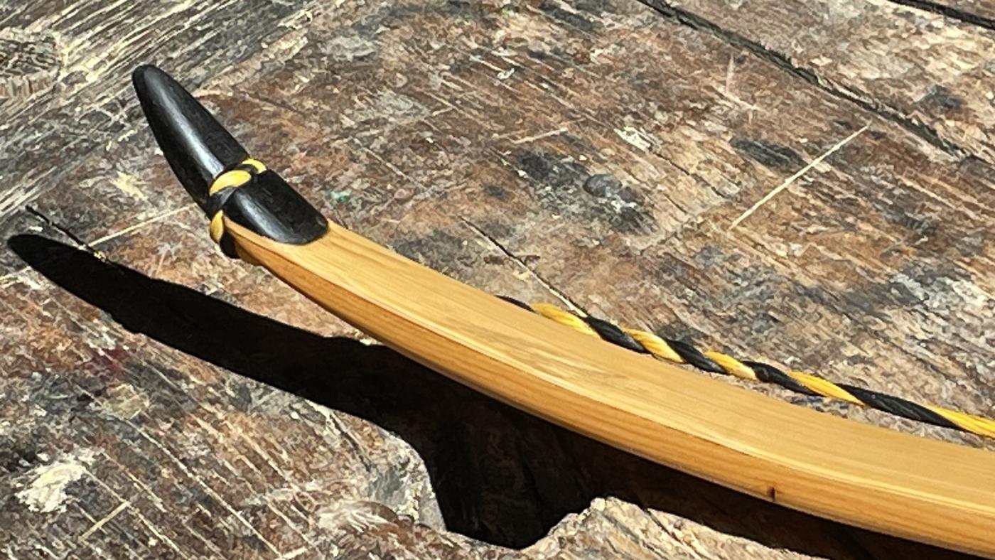 Recurve-Spitze eines Wings Bogens aus Eibe mit schwarzer Hornnocke