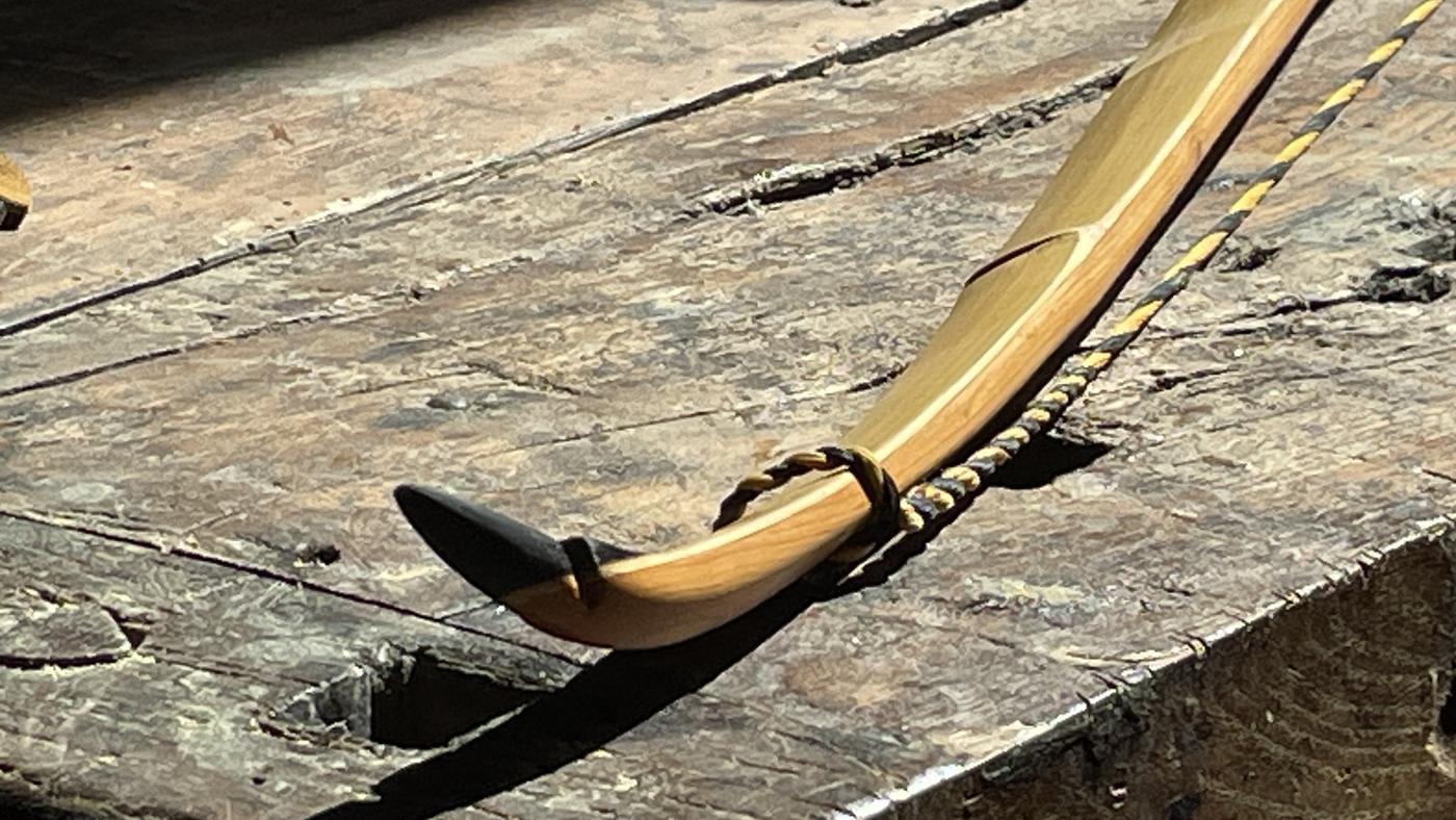 Wurfarm eines Wings Bogens aus Eibe mit Recurve